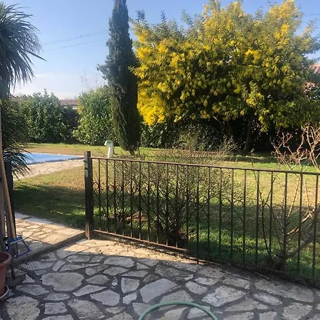 Au Mimosa -gite Le Canigou Passa