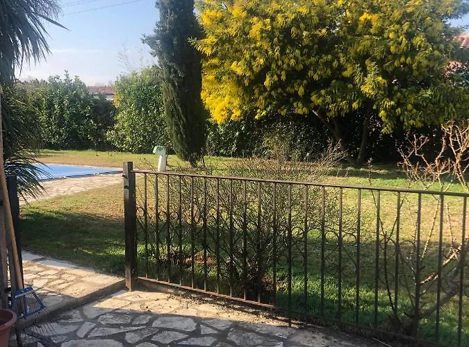 Au Mimosa -gîte Le Canigou Passa